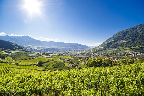 Aussicht in Algund (©Foto: Christian Gufler, Tourismusverein Algund)